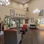Comfort South 4*