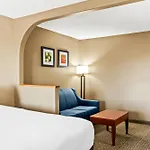 Comfort South 4*