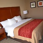 Comfort South Mini-hôtel 4*
