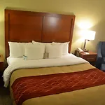 Comfort South Mini-hôtel