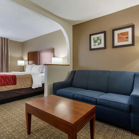 Comfort South Inn 4*
