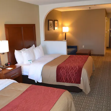 Comfort South Inn