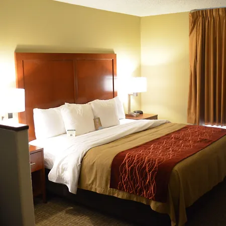 Inn Comfort South 4*