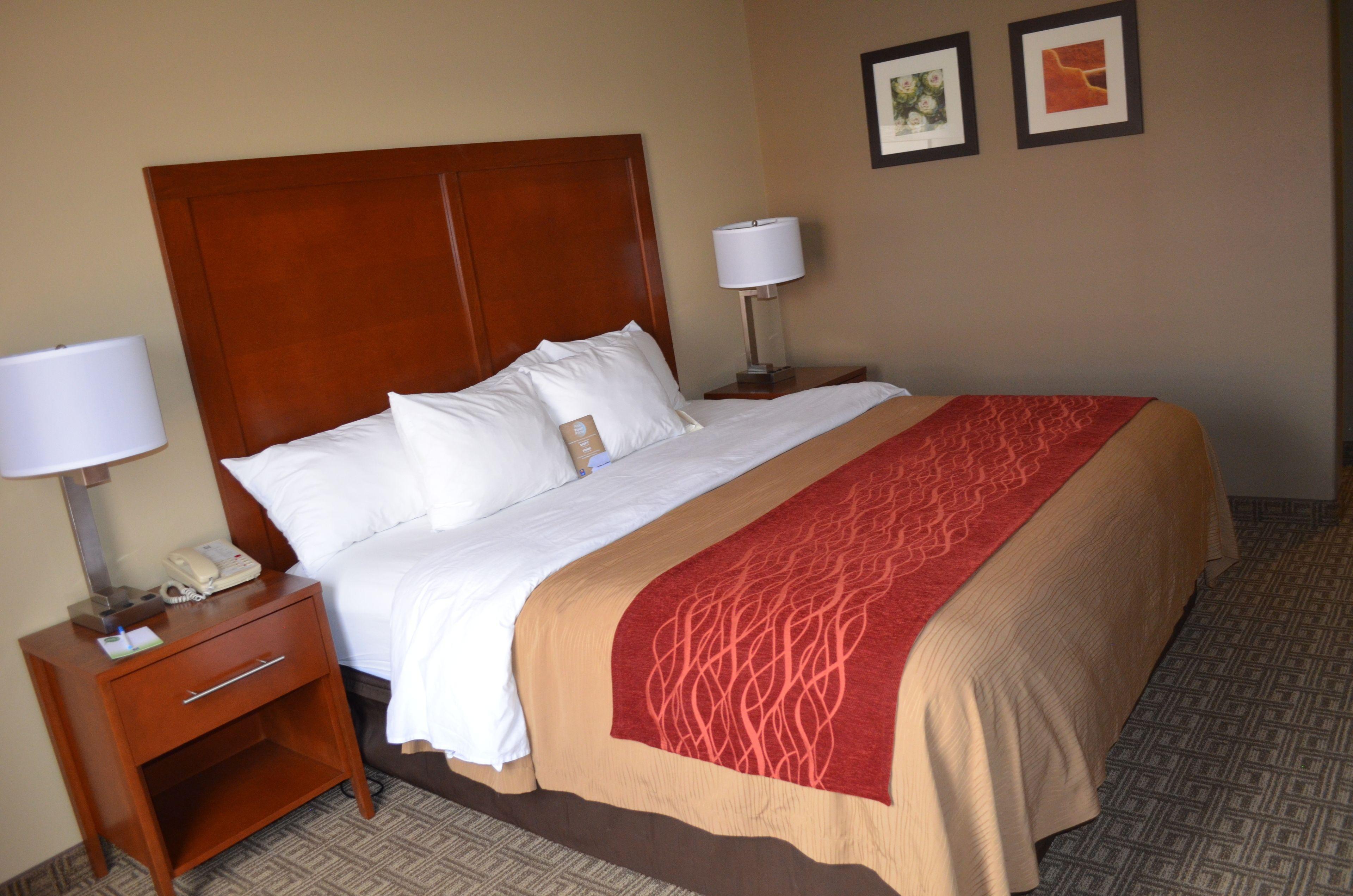 Comfort South Mini-hôtel 2*