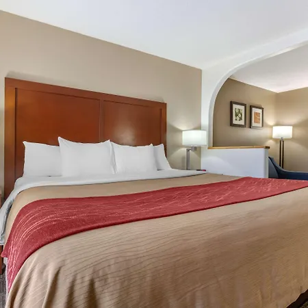 Comfort South Inn 4*