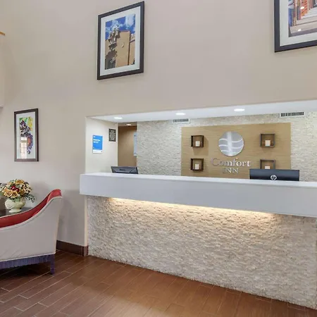 Comfort South 4*