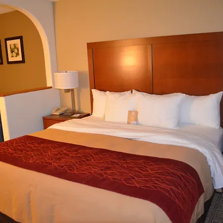 Comfort South 4*